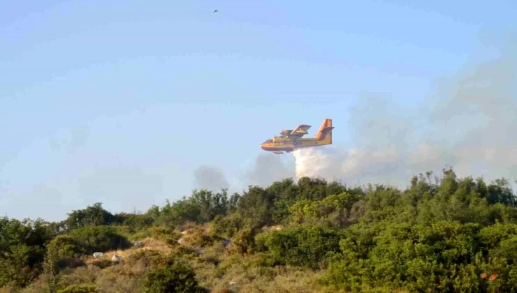 Didim’de makilik alanda çıkan yangın kontrol altına alındı