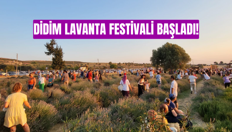 Didim Lavanta Festivali başladı!