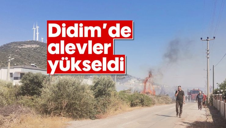 Didim’de alevler yükseldi