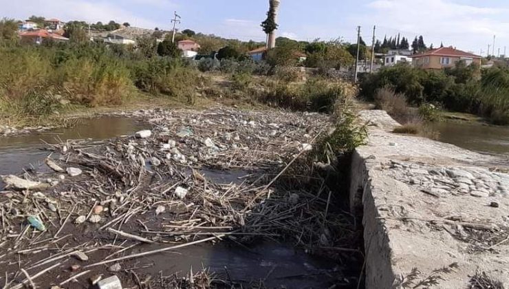 Tarihi Köprü çöplerden tıkandı; EKODOSD kirliliğe dikkat çekti