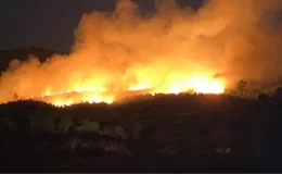 Uşak, Çanakkale ve Balıkesir’de orman yangını alarmı