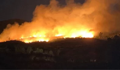 Uşak, Çanakkale ve Balıkesir’de orman yangını alarmı