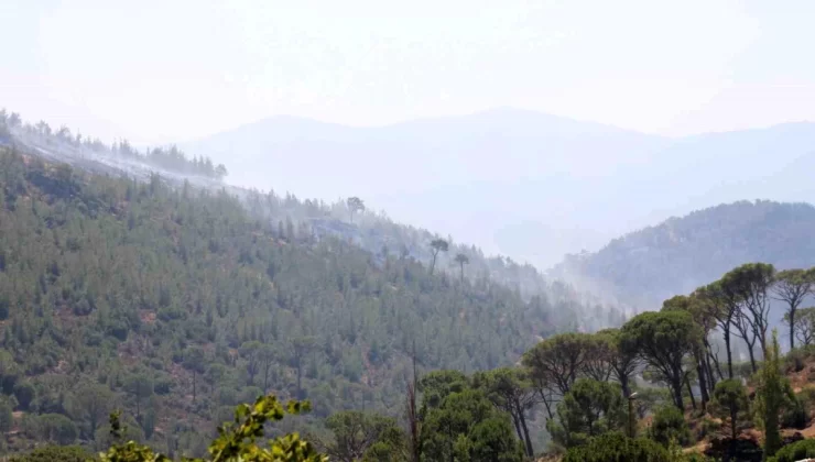 Aydın’da devam eden orman yangınına ekipler müdahale ediyor