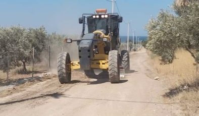 Didim’deki zeytinliklerin yolları düzenleniyor