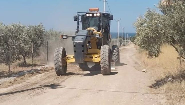 Didim’deki zeytinliklerin yolları düzenleniyor