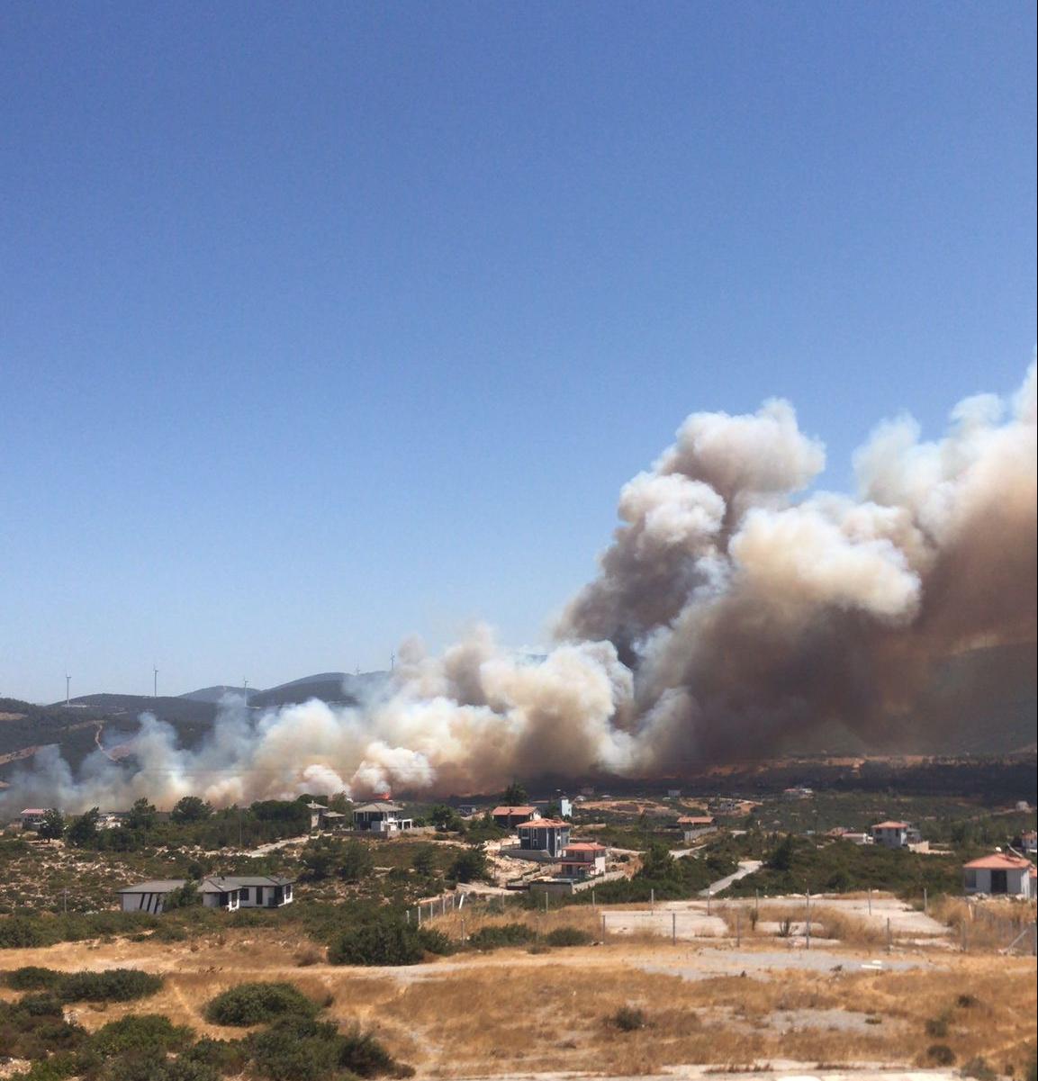 Didim’de makilik alanda yangın