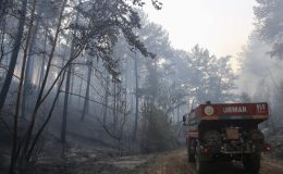 Muğla’daki orman yangınları kısmen kontrol altına alındı