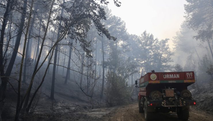 Muğla’daki orman yangınları kısmen kontrol altına alındı