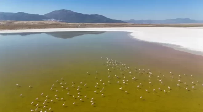 Acıgöl, pembe bir denize dönüştü!