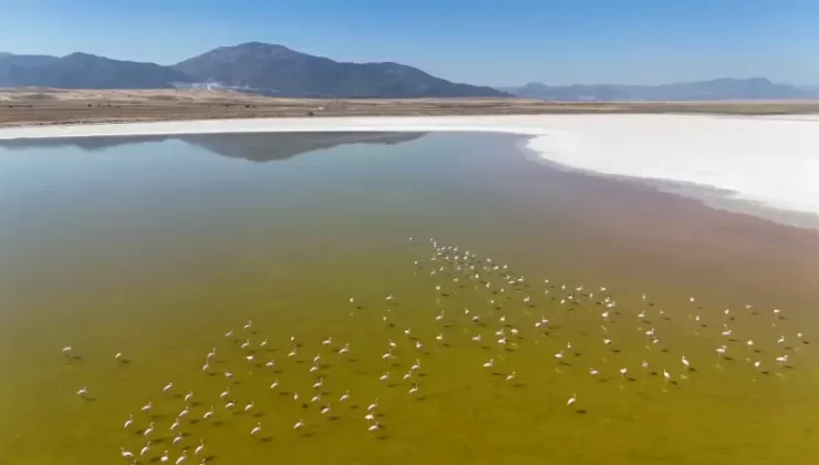 Acıgöl, pembe bir denize dönüştü!