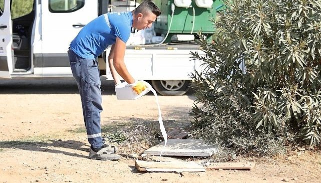 Didim’de ilaçlama çalışmaları aralıksız devam ediyor