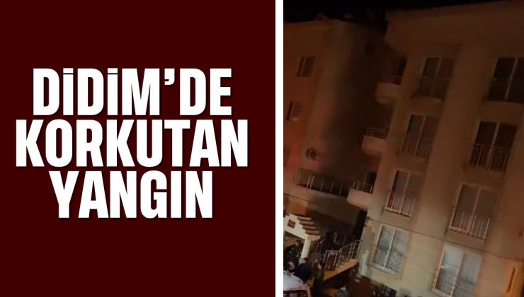 Didim’deki yangın korkuttu