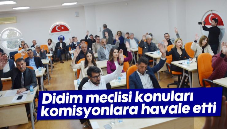 Didim Meclisi, konuları komisyonlara havale etti