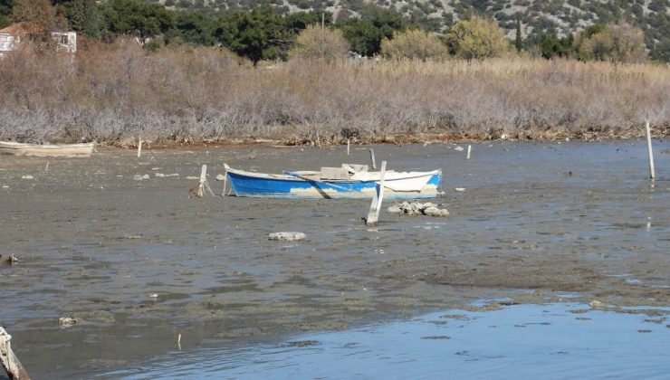 Karina’da deniz 30 metre çekildi, balıkçı tekneleri karaya oturdu