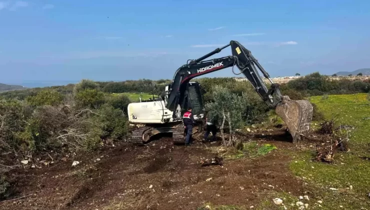 Didim’de İzinsiz Hazine Kazısı: 3 Şüpheli Yakalandı